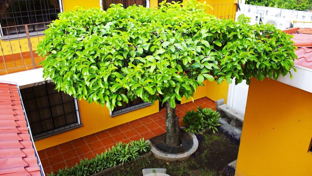 Hotel Villa Terra San Salvador Dış mekan fotoğraf